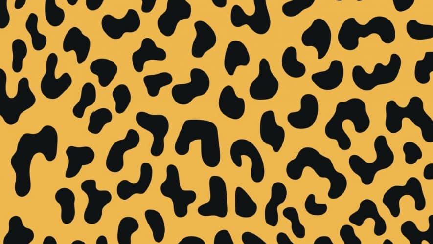 How to wear animal print