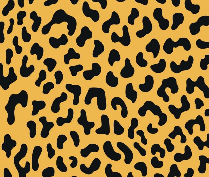 How to wear animal print